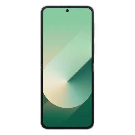 Смартфон Samsung Galaxy Z Flip6 12/256 ГБ, мятный (Mint)